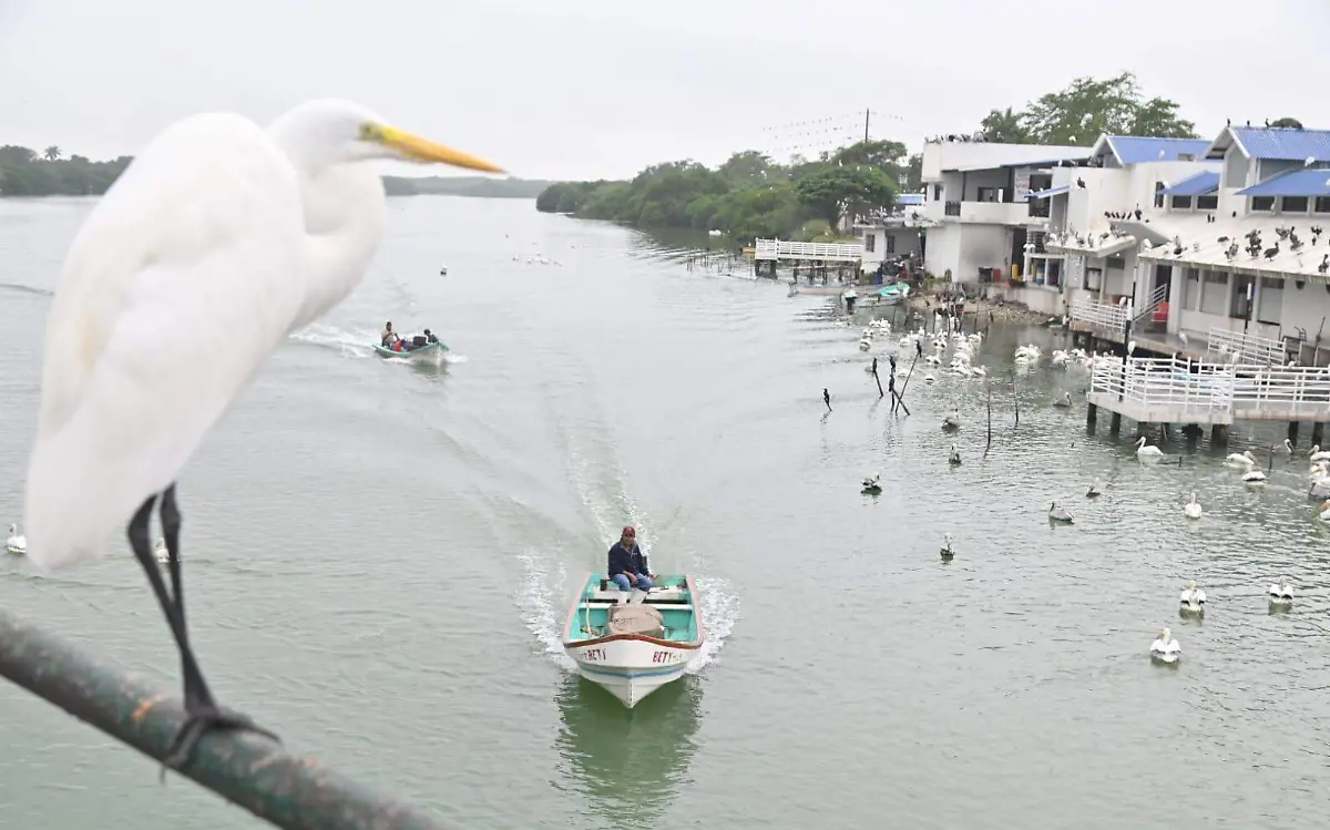 La Conagua pronostica una escasa probabilidad de lluvia para los municipios de  Tampico, Ciudad Madero y Altamira Alejandro del Ángel (1)